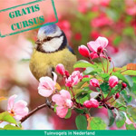 Gratis Online Vogelcursus Vogelbescherming