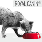 Gratis Royal Canin Kittenpakket