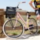 Maak kans op een HEMA Tompouce-fiets (50x)