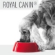 Gratis Royal Canin Puppypakket